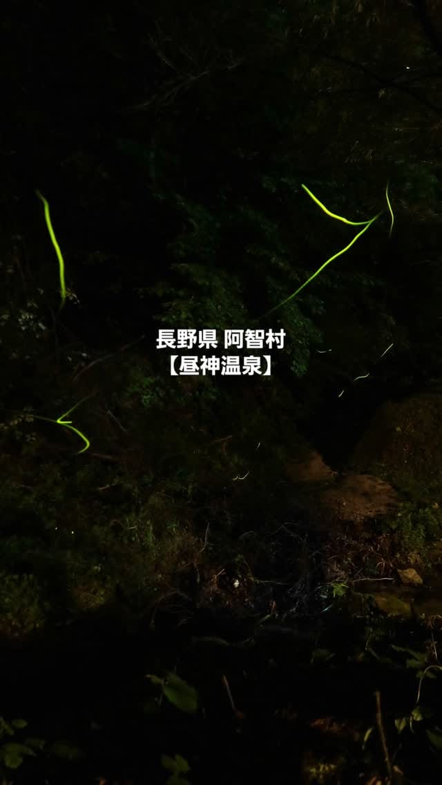 Post 7 by ほっこり昼神 《阿智村のジャム屋が撮った景色》 on Instagram (video)