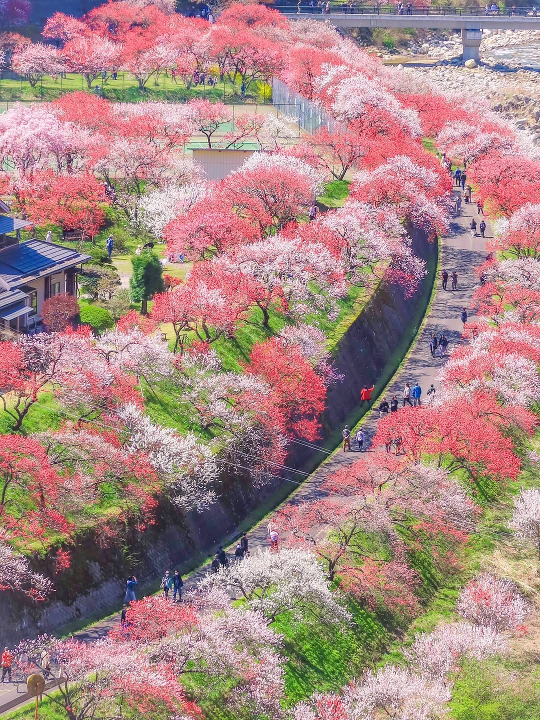 Post 10 by ほっこり昼神 《阿智村のジャム屋が撮った景色》 on Instagram (image)
