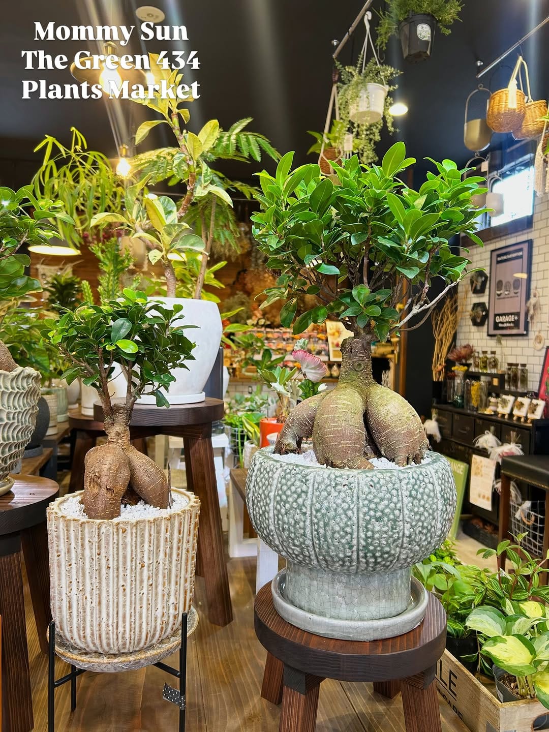Post 2 by 奈良県香芝市「植物&雑貨マーケット」 on Instagram (carousel)