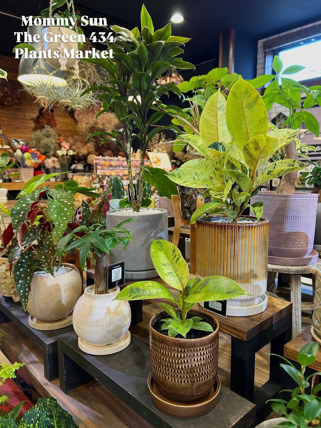 Post 1 by 奈良県香芝市「植物&雑貨マーケット」 on Instagram (carousel)