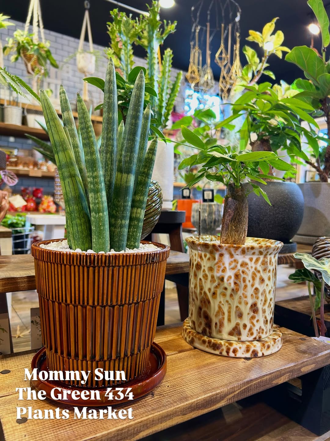 Post 5 by 奈良県香芝市「植物&雑貨マーケット」 on Instagram (carousel)