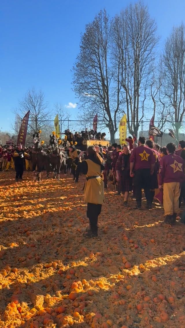 Post 8 by Storico Carnevale di Ivrea on Instagram (video)