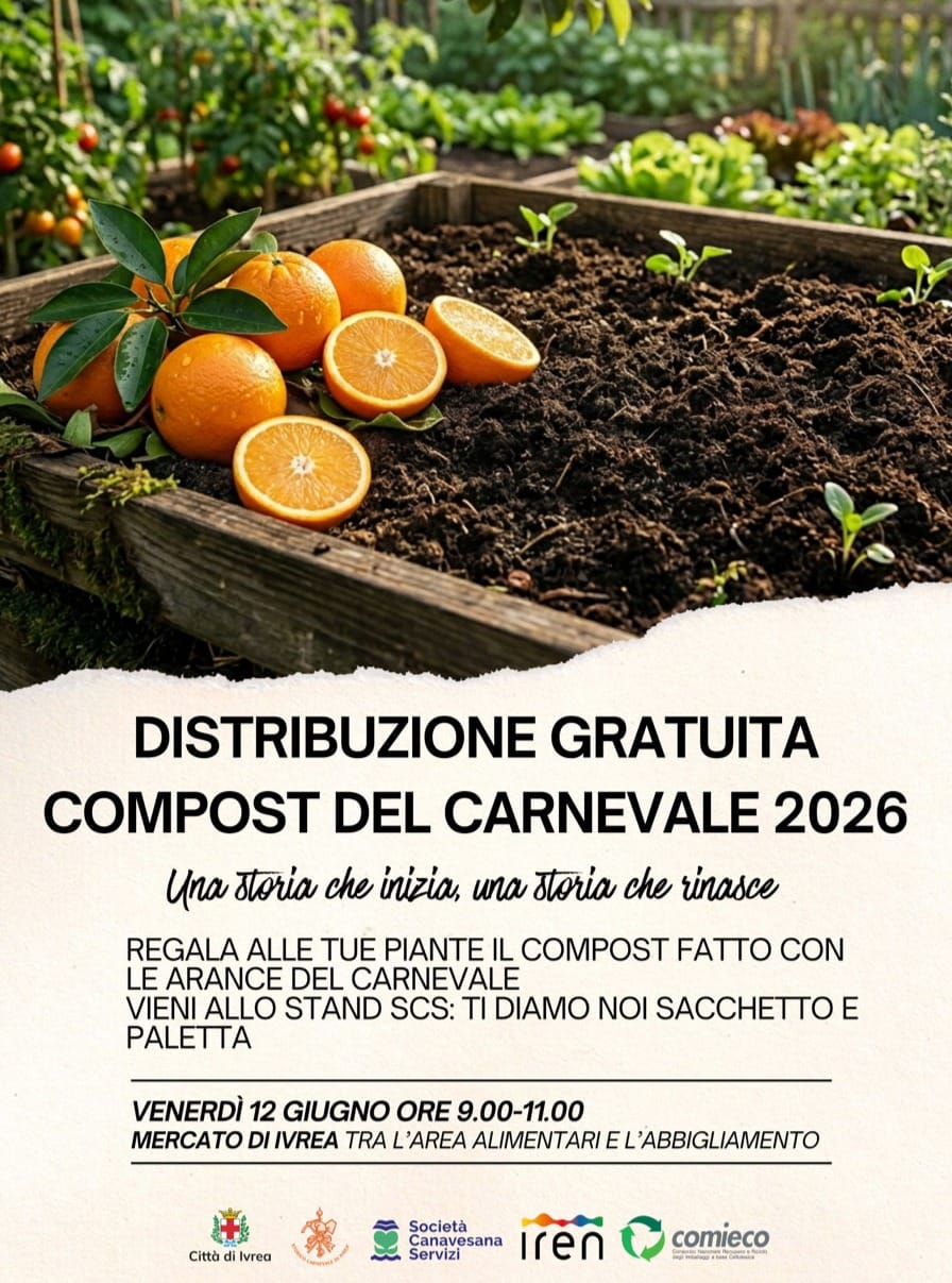 Post 6 by Storico Carnevale di Ivrea on Instagram (image)
