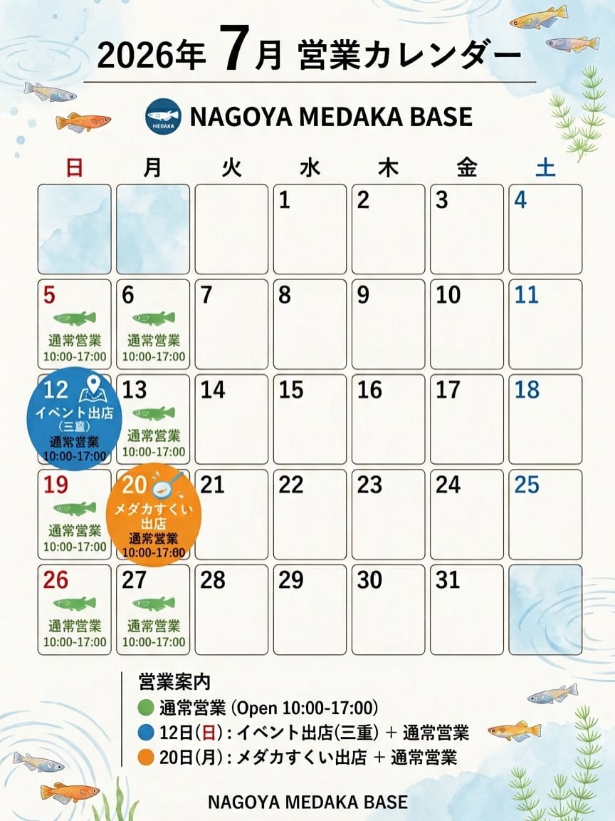 Post 5 by 名古屋市の改良メダカ専門店　　　　　　　　　　　　　　NAGOYA MEDAKA BASE on Instagram (carousel)