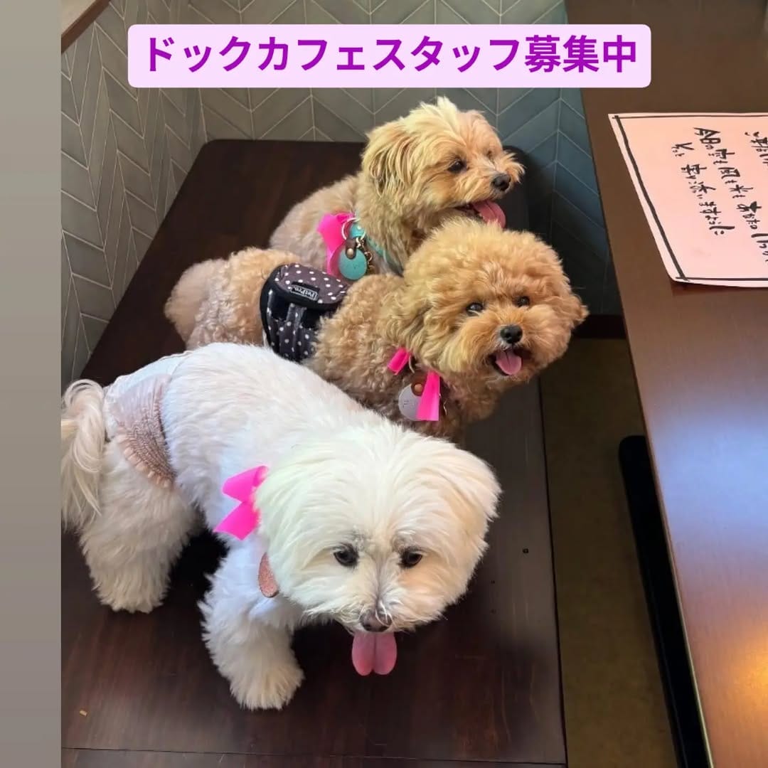 Post 3 by fu-goのクレープ屋 on Instagram (image)