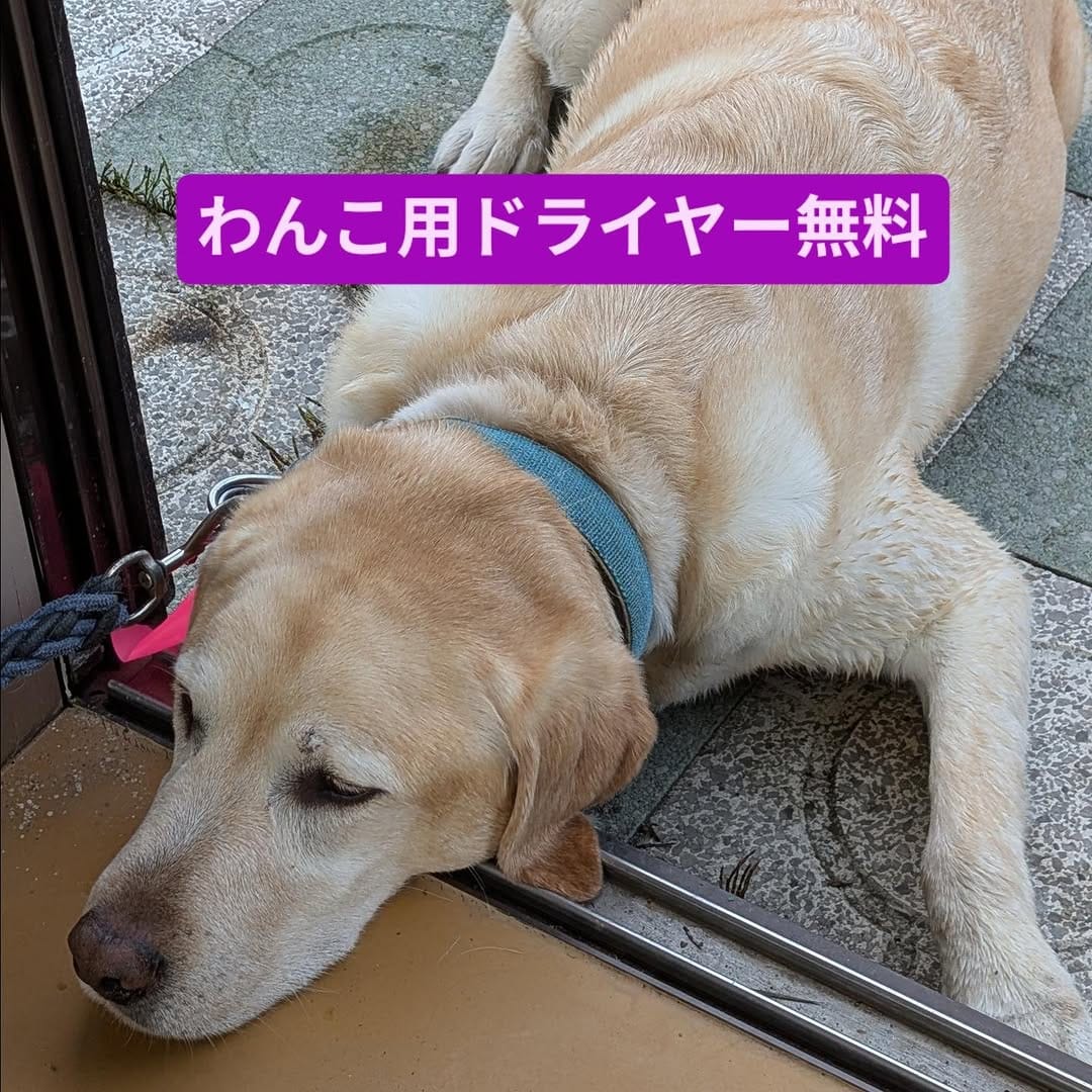 Post 4 by fu-goのクレープ屋 on Instagram (carousel)