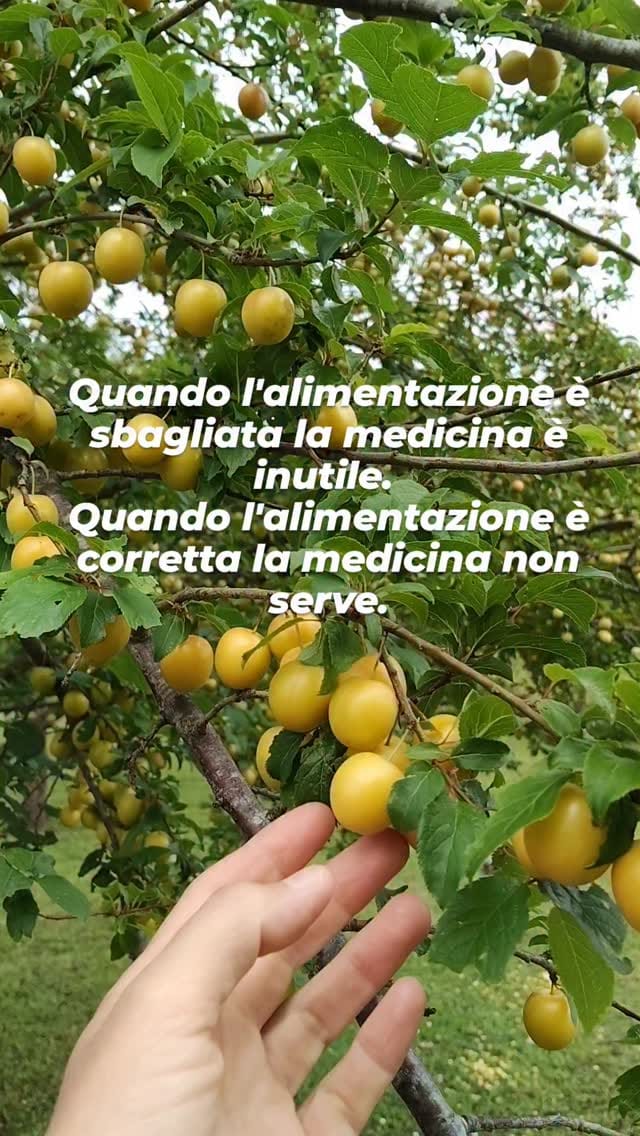 Post 6 by Valentina Ciuffi on Instagram (video)