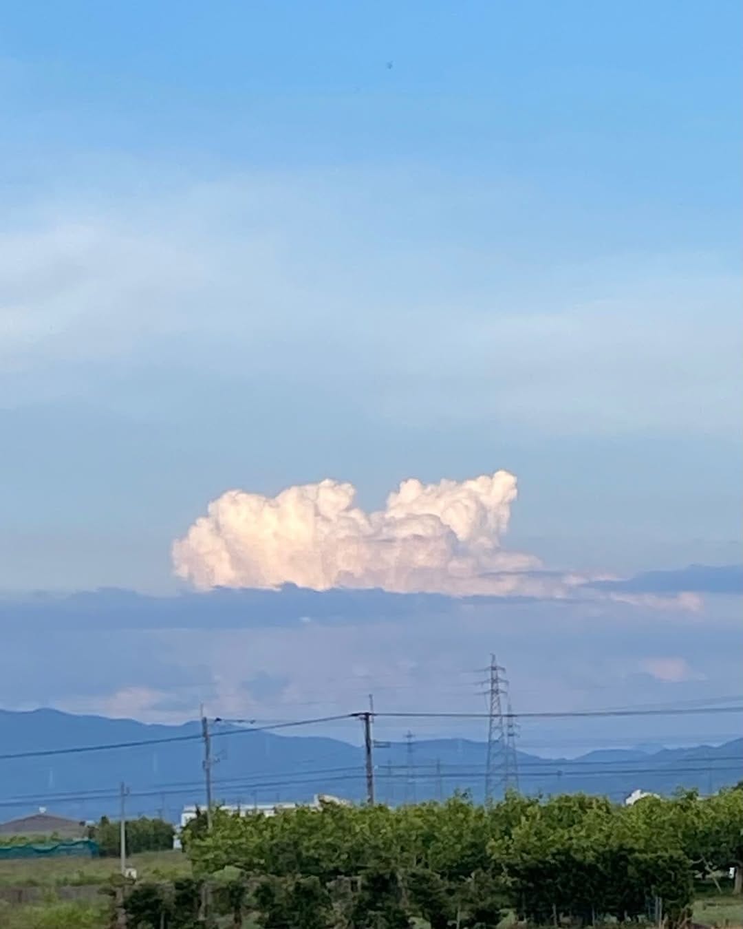 Post 3 by 毎日のパンと喫茶　tison on Instagram (image)