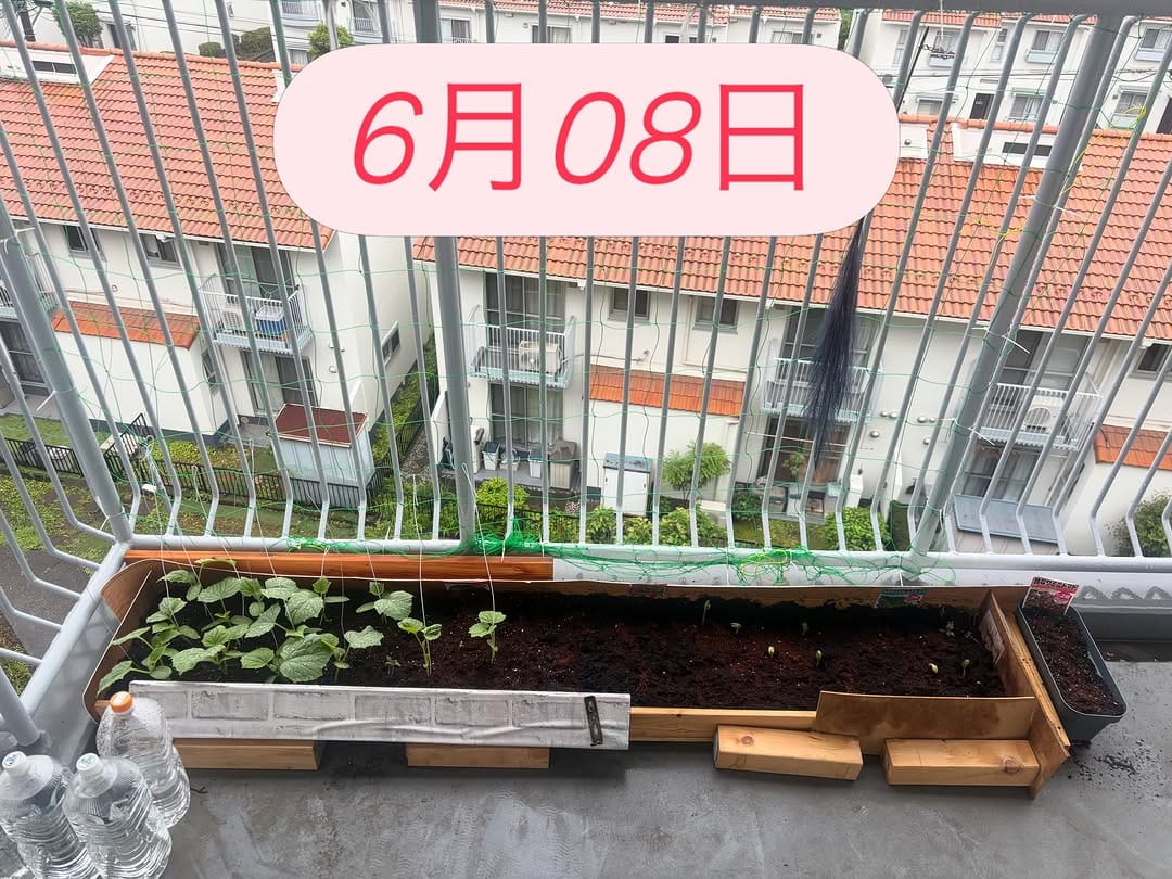Post 8 by 鈴木 寛之 on Instagram (image)