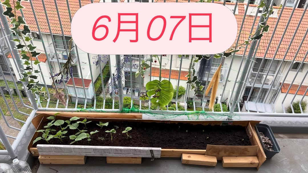 Post 9 by 鈴木 寛之 on Instagram (carousel)
