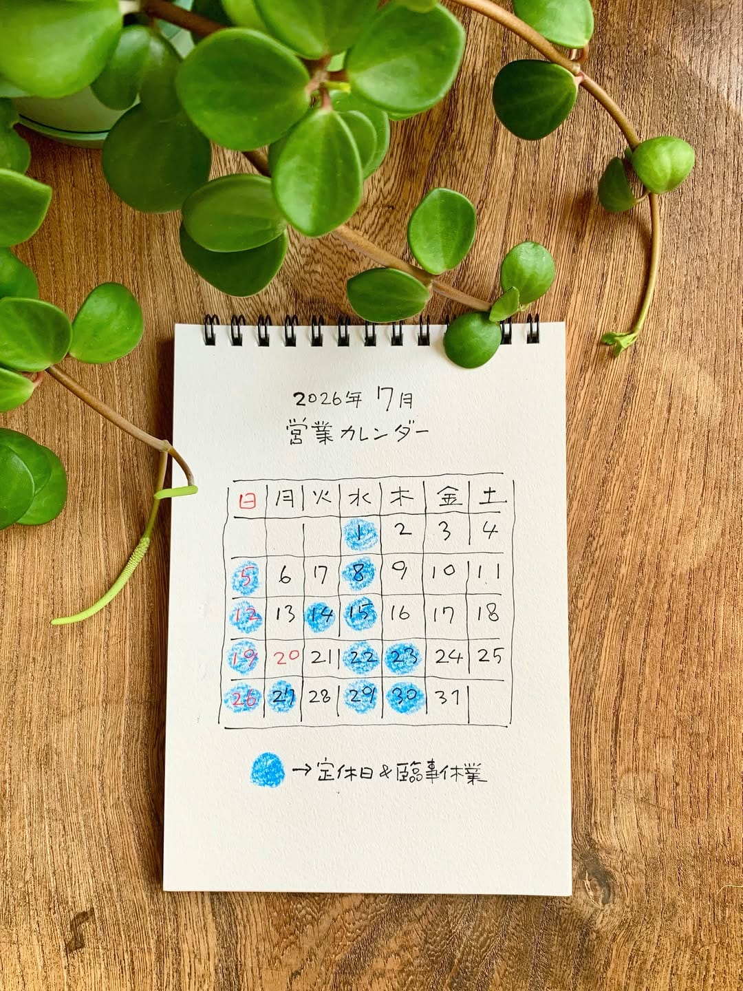 Post 3 by 植物といろいろのお店　　　　　　　　　　　　　sora to tane 宙と種 on Instagram (image)
