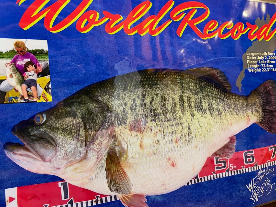 Post 4 by Fish! tackle shop on Instagram (image)