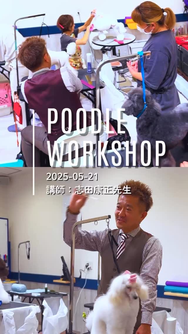 Post 4 by L-Gate on Instagram (video)