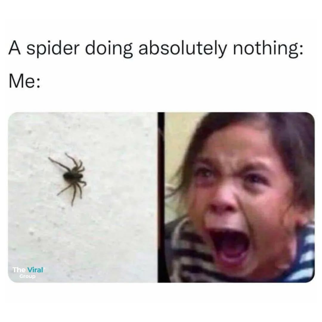 Post 10 by British Meme Hub on Instagram (image)