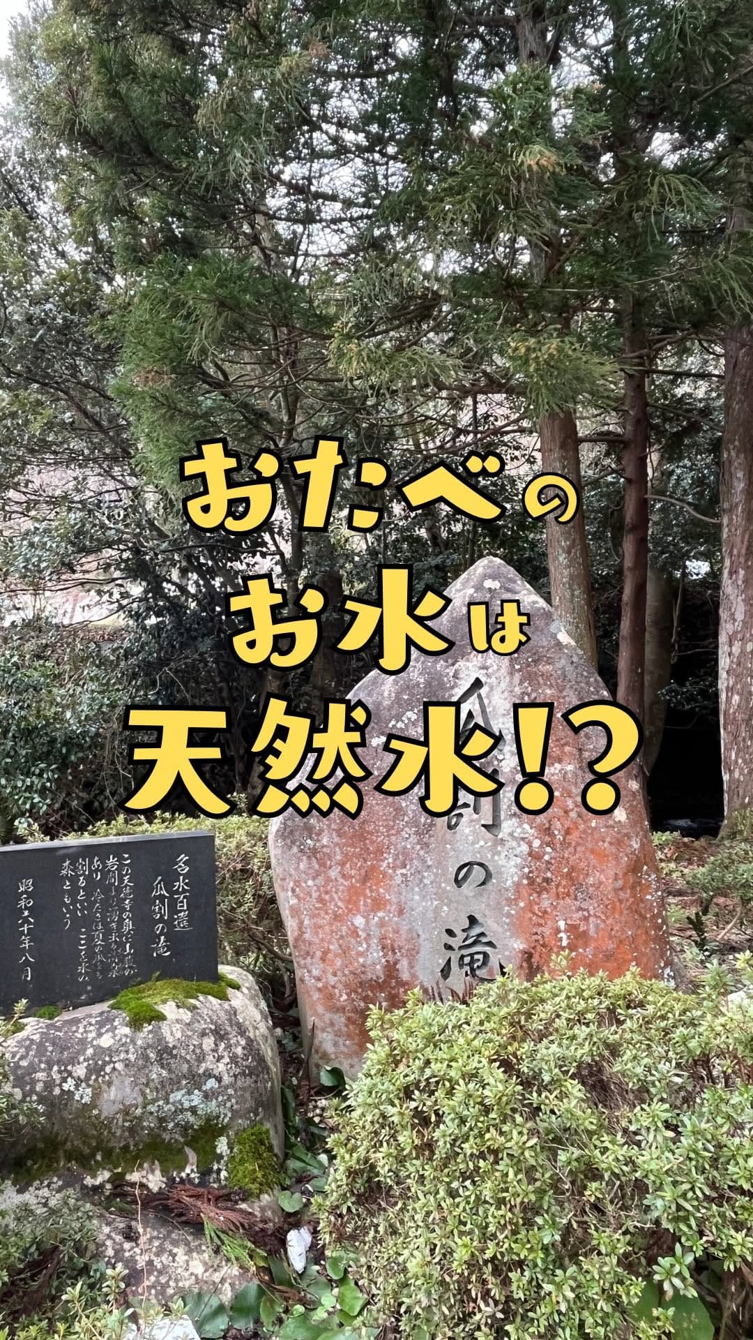Post 1 by 京都銘菓おたべ【公式】京都土産|スイーツ|和菓子 on Instagram (video)