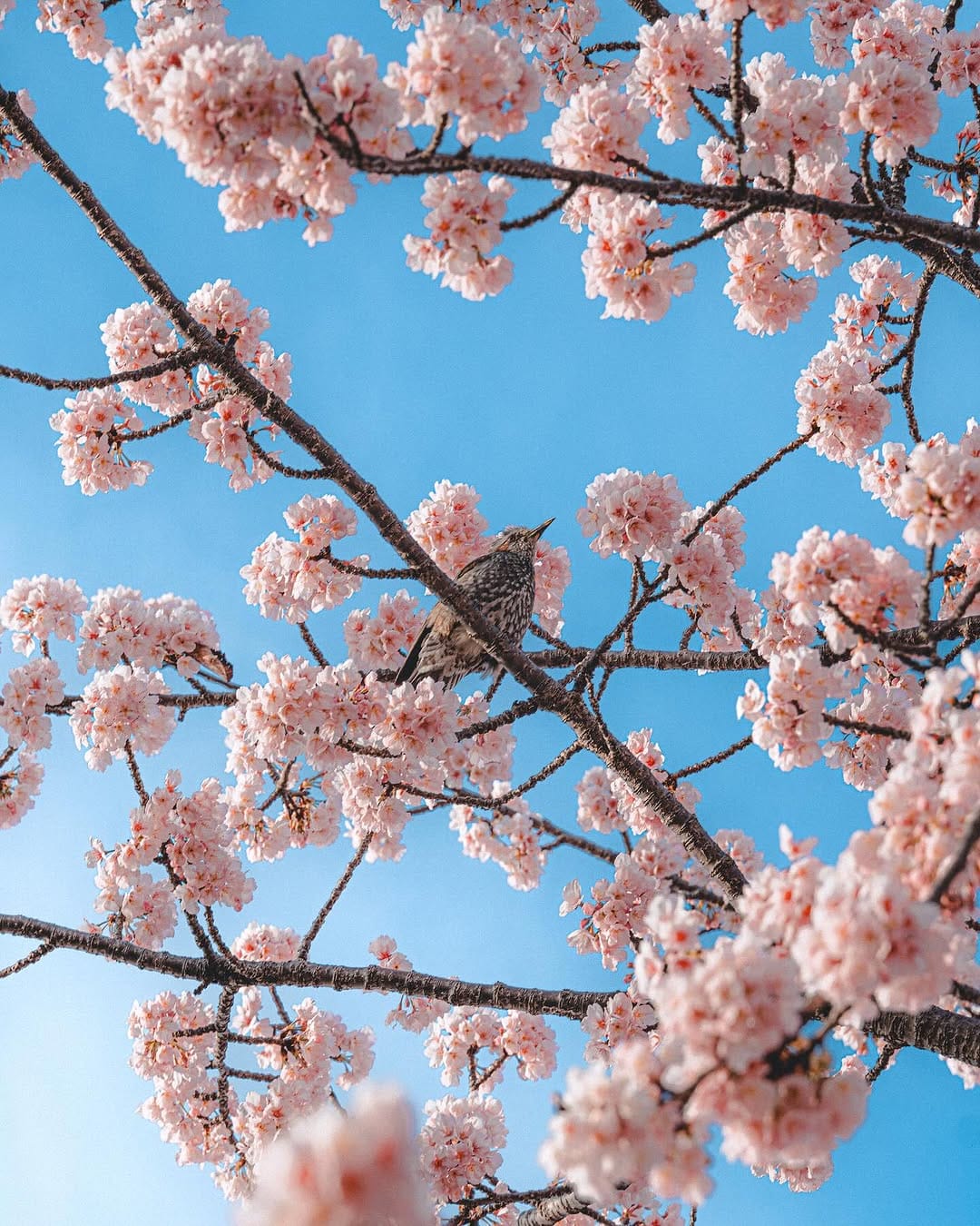 Post 5 by Yuto Watanabe on Instagram (carousel)