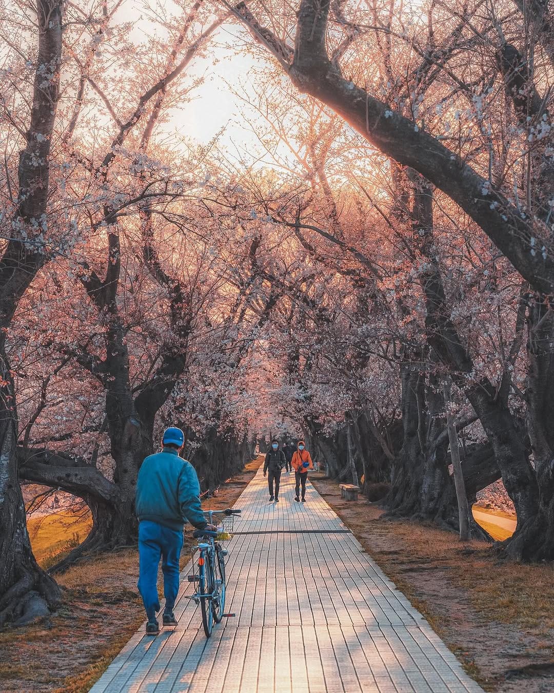 Post 2 by Yuto Watanabe on Instagram (carousel)