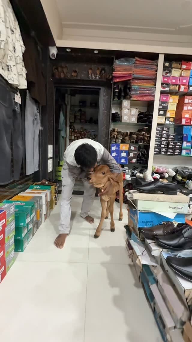 Post 8 by krishna family showroom on Instagram (video)