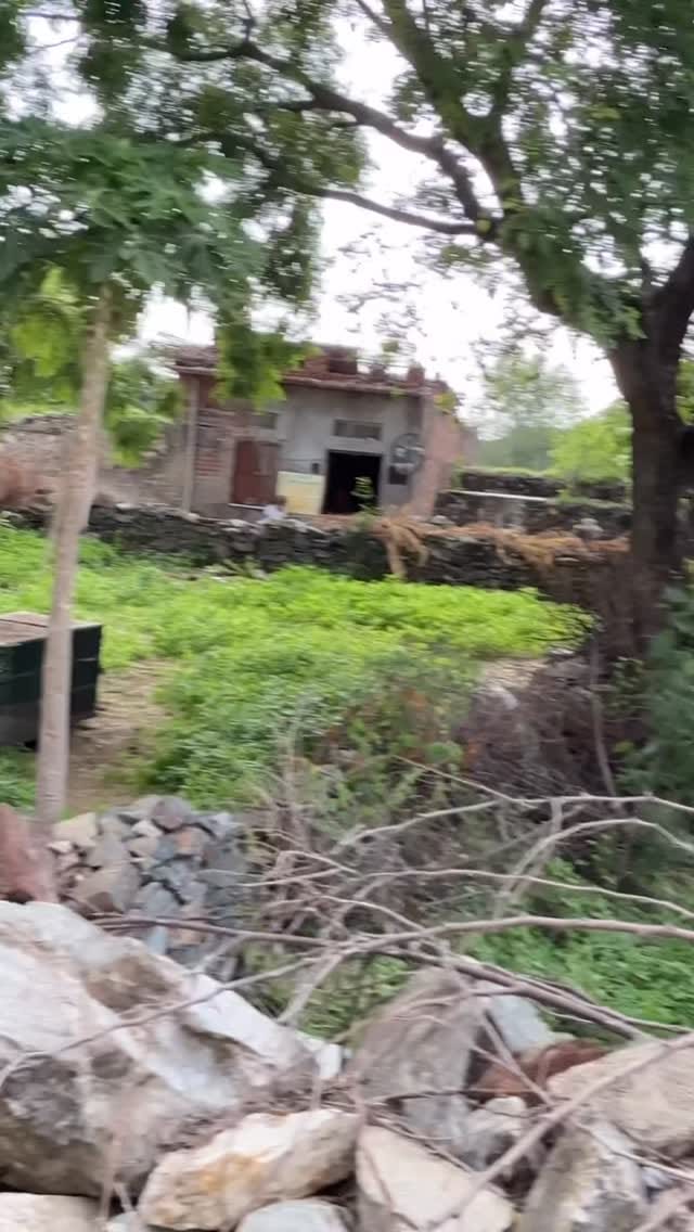 Post 4 by krishna family showroom on Instagram (video)