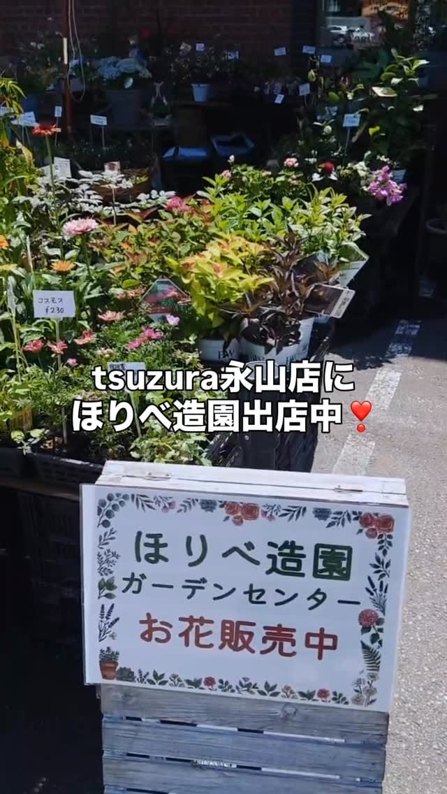 Post 3 by ほりべ造園／北海道旭川市 on Instagram (video)