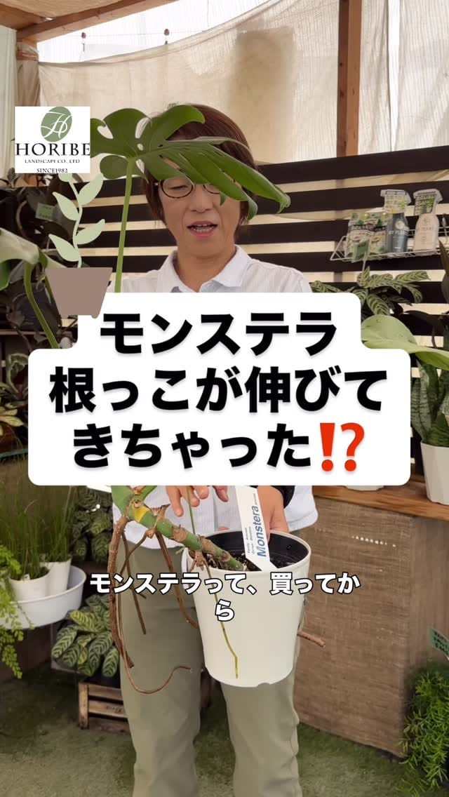 Post 10 by ほりべ造園／北海道旭川市 on Instagram (video)