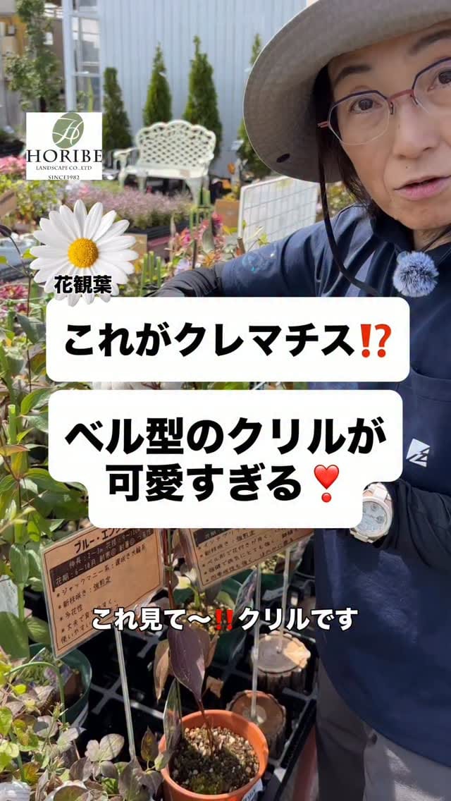Post 7 by ほりべ造園／北海道旭川市 on Instagram (video)