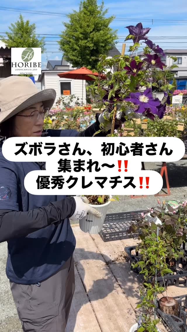 Post 2 by ほりべ造園／北海道旭川市 on Instagram (video)