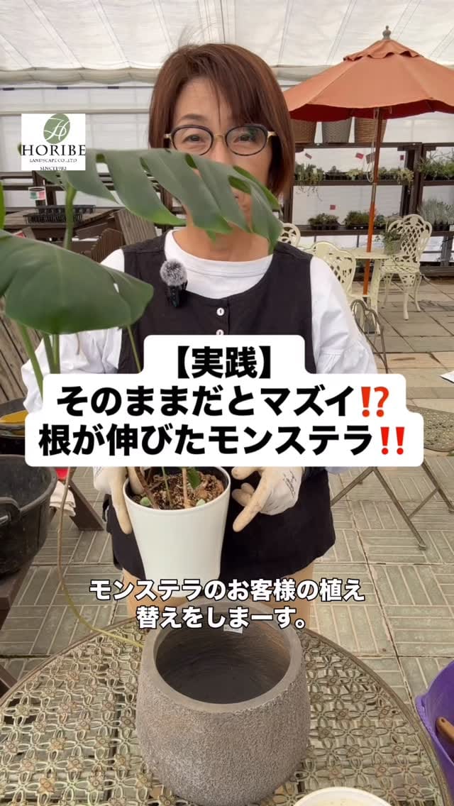 Post 9 by ほりべ造園／北海道旭川市 on Instagram (video)