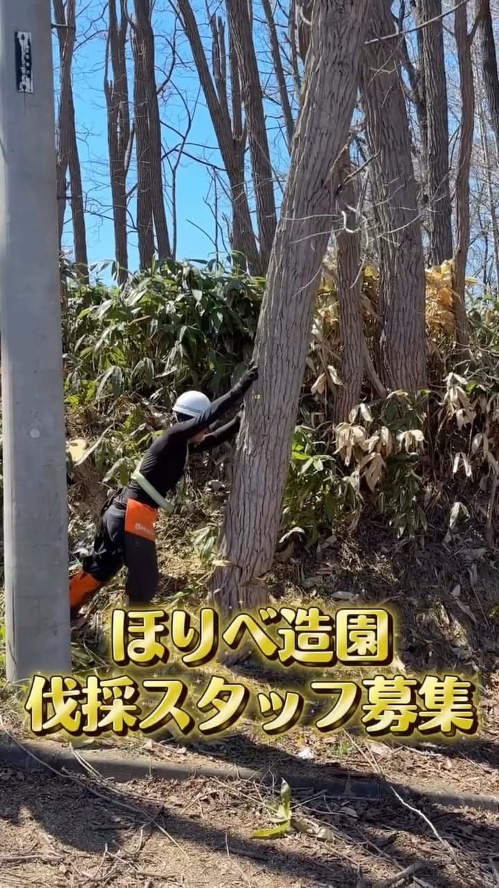Post 6 by ほりべ造園／北海道旭川市 on Instagram (video)