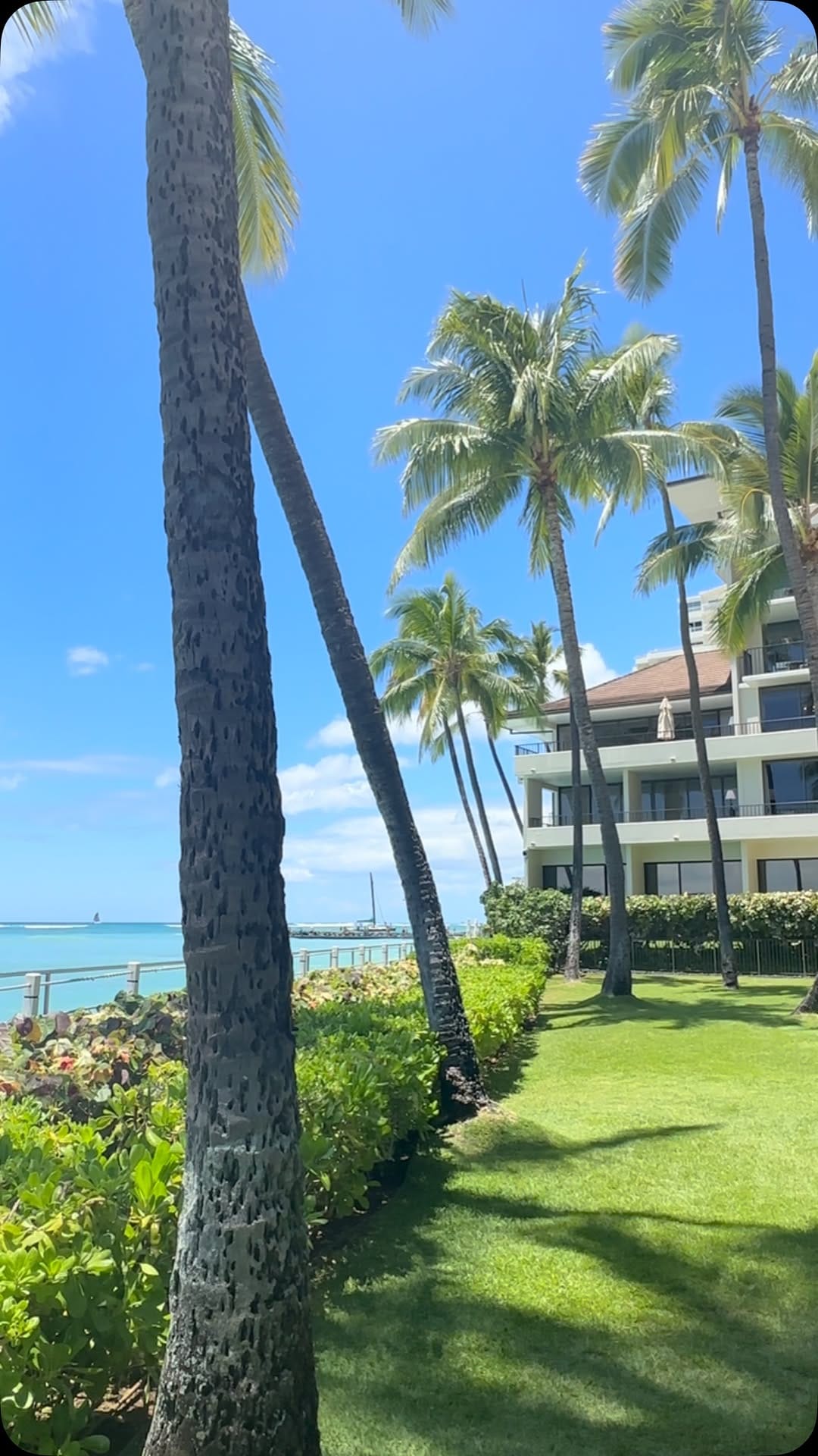 Post 10 by Halekulani At Home on Instagram (video)