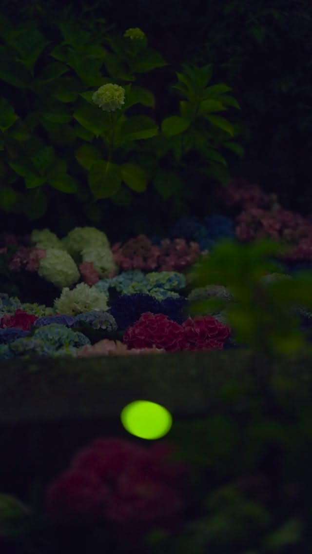 Post 5 by Takahiro Bessho / 別所隆弘 on Instagram (video)