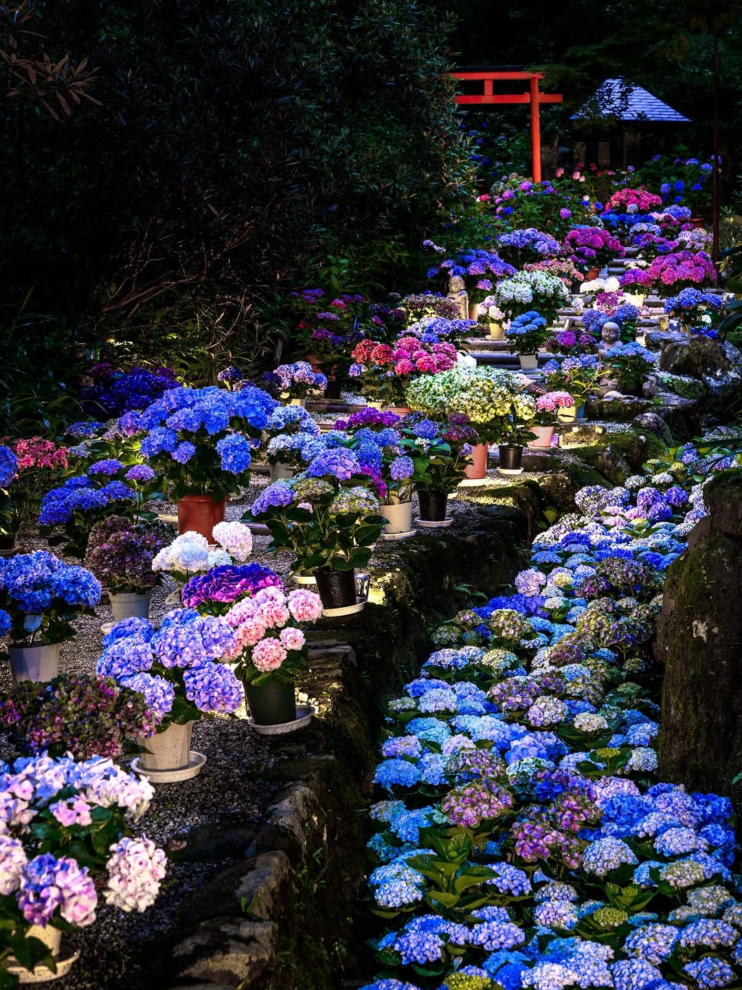 Post 1 by Takahiro Bessho / 別所隆弘 on Instagram (image)