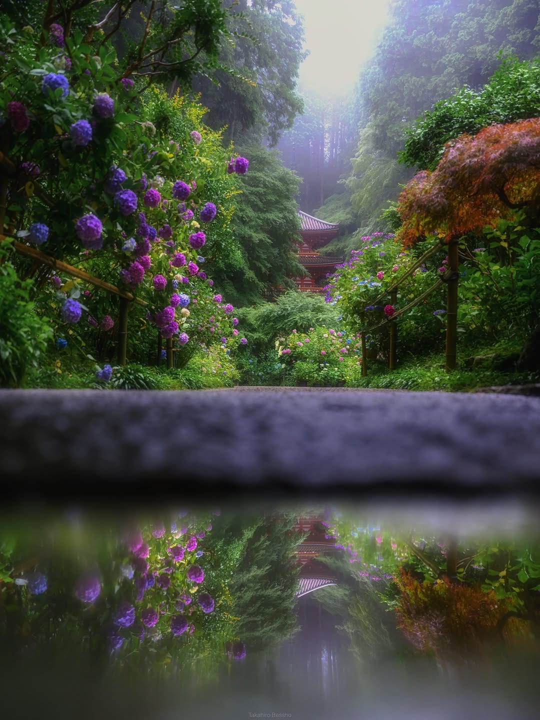 Post 3 by Takahiro Bessho / 別所隆弘 on Instagram (image)