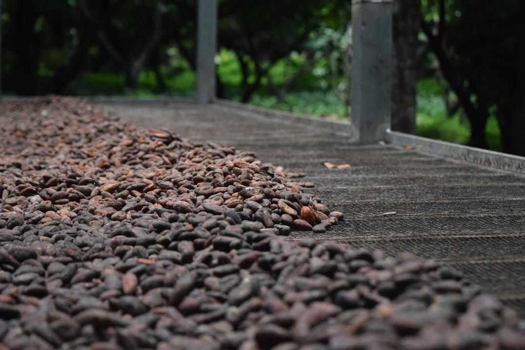 Post 9 by Kotje Le Chocolat  ｺｯﾁｪ･ﾙ･ｼｮｺﾗ on Instagram (image)