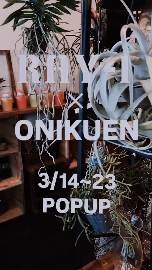 Post 6 by 洋燈屋ICHI on Instagram (video)