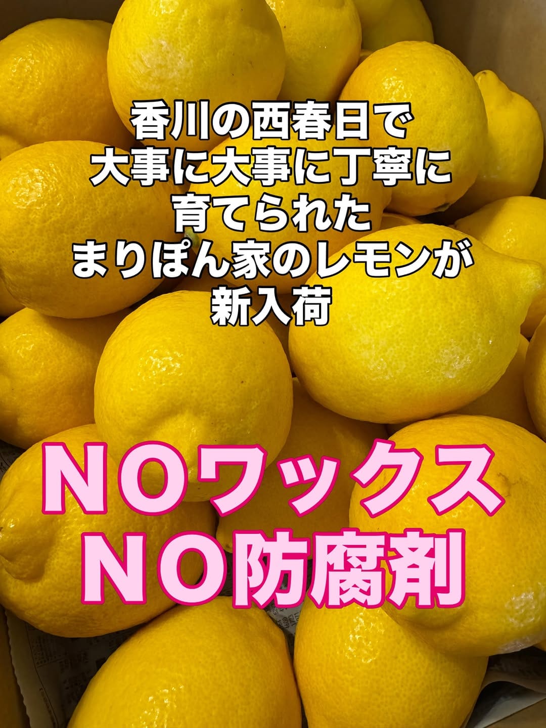 Post 2 by 米男JAPAN on Instagram (image)