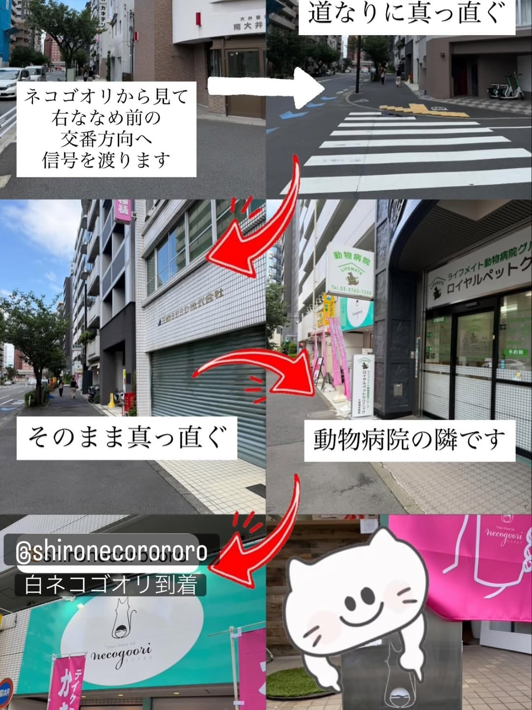 Post 10 by TokyoShaveIce ネコゴオリnecogoori on Instagram (image)