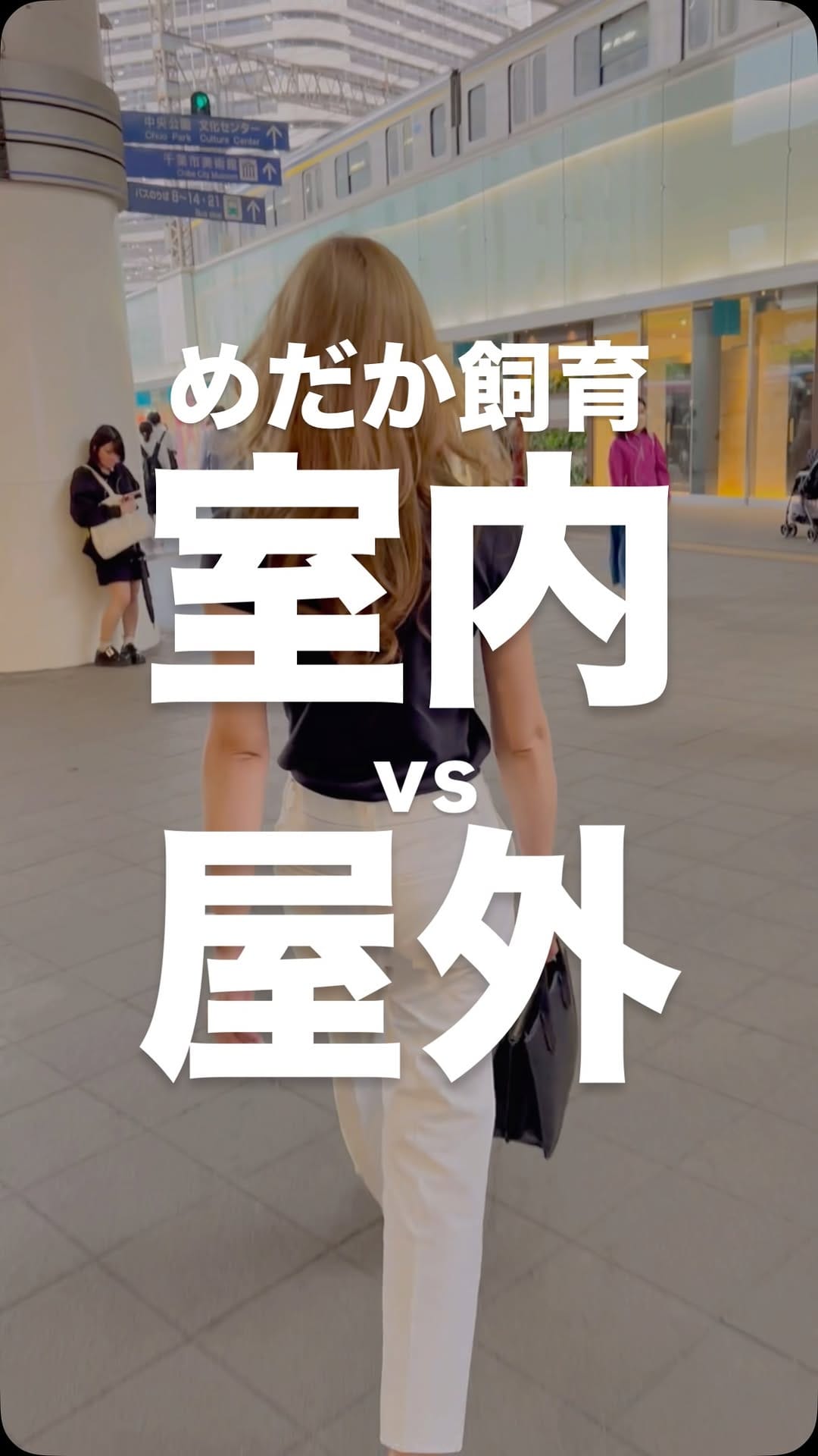 Post 10 by めだか処MME  |   千葉 on Instagram (video)