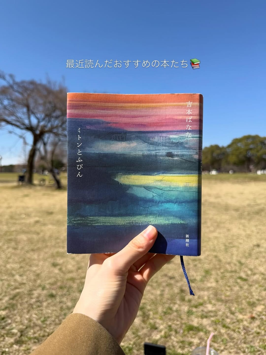 Post 7 by ほのぴ on Instagram (carousel)