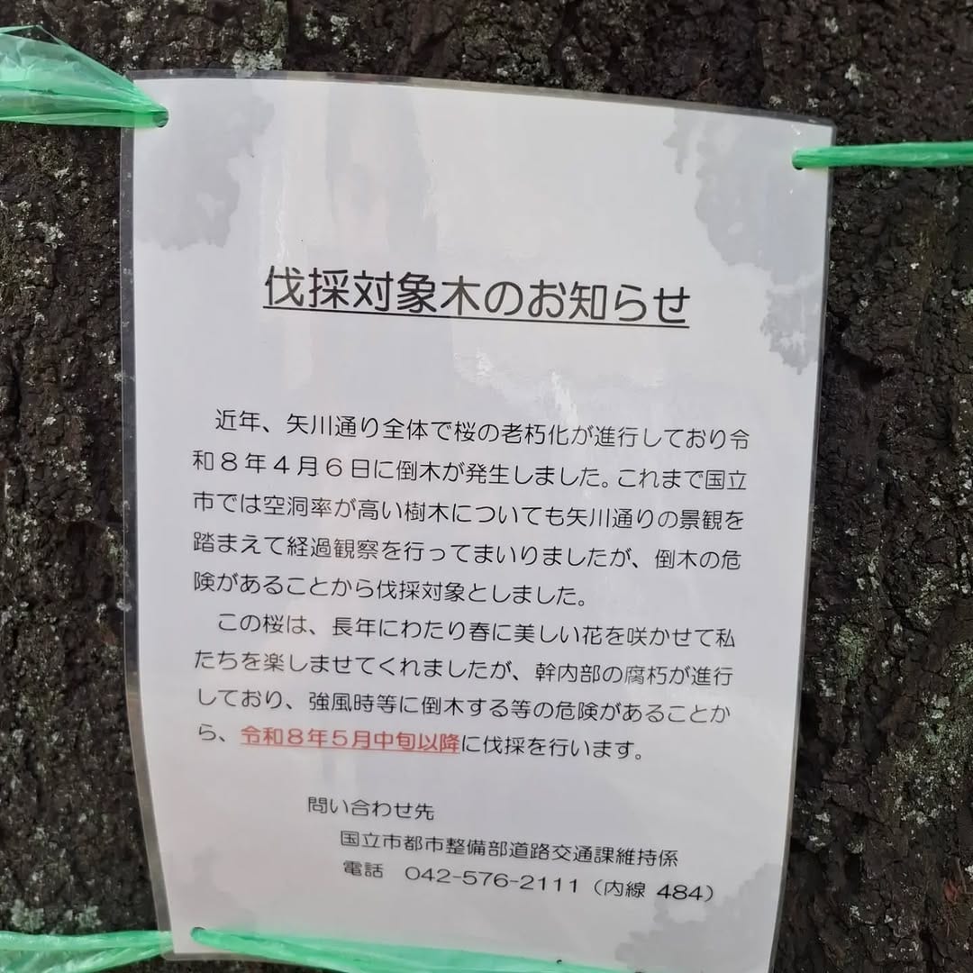 Post 3 by 就労継続支援B型事業所ことのは on Instagram (carousel)