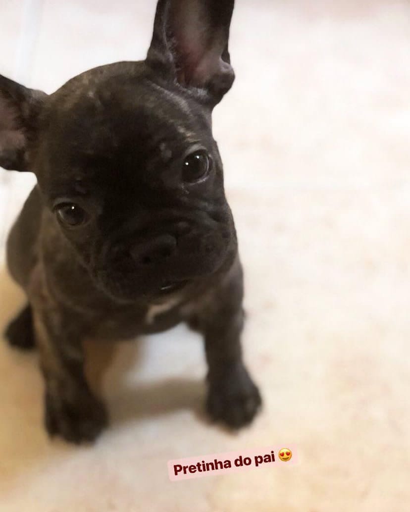 Post 5 by A Mila 🌸 on Instagram (image)