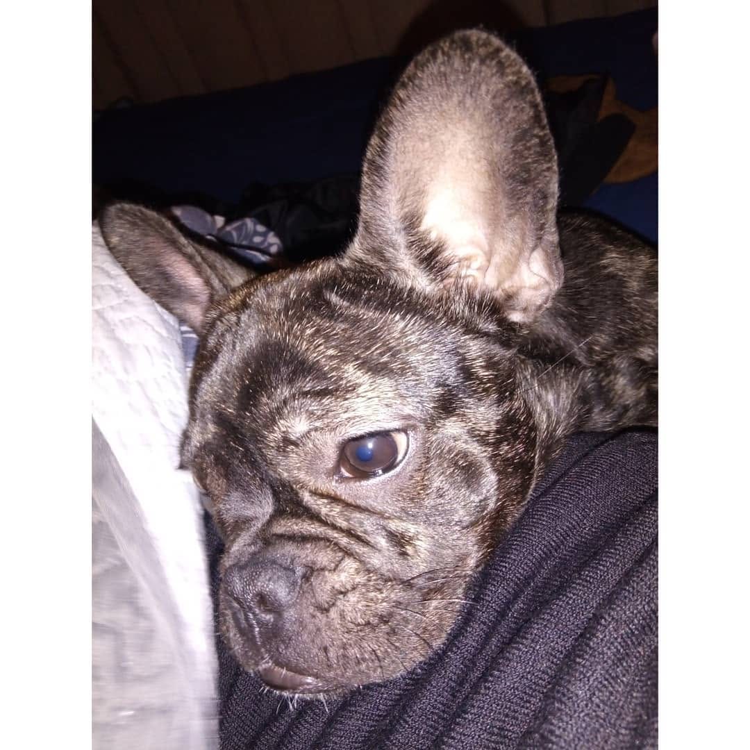 Post 6 by A Mila 🌸 on Instagram (image)