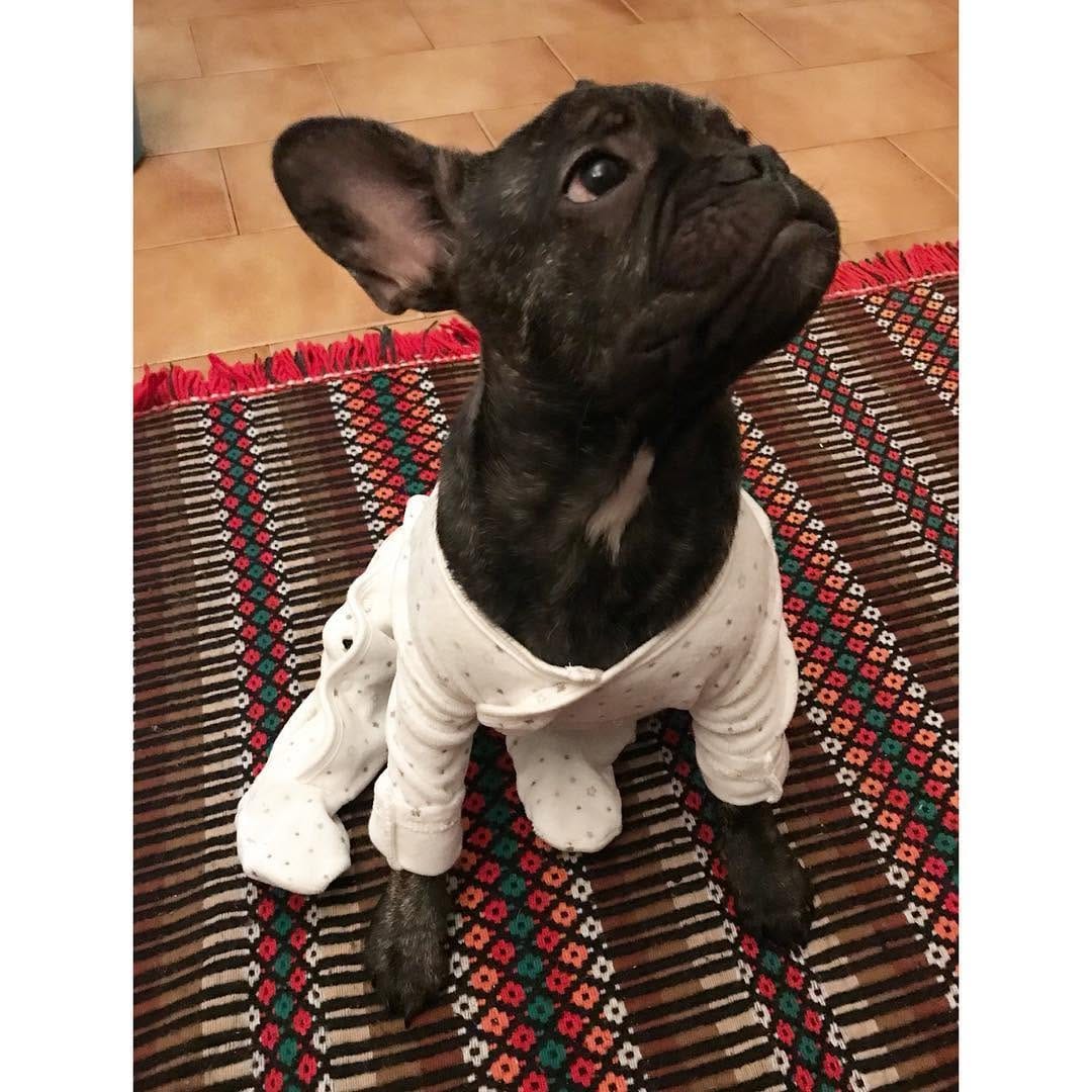 Post 10 by A Mila 🌸 on Instagram (image)
