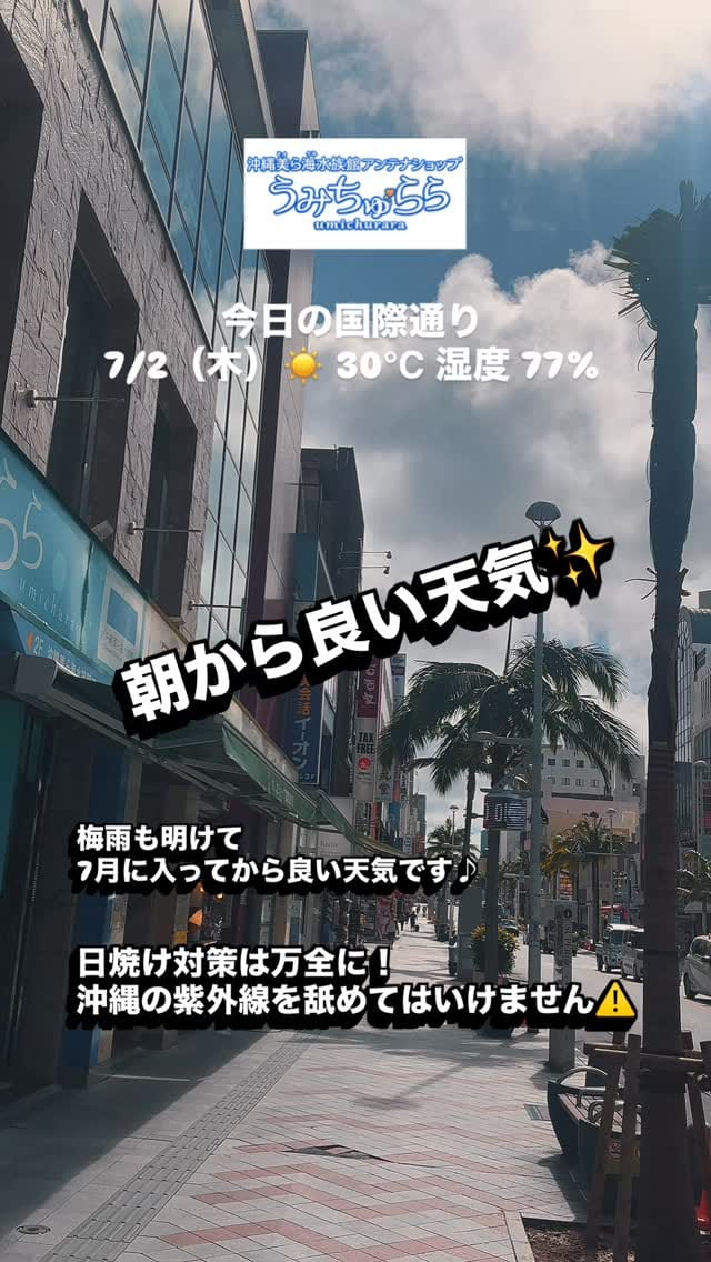 Post 4 by 【公式】沖縄美ら海水族館アンテナショップうみちゅらら on Instagram (video)