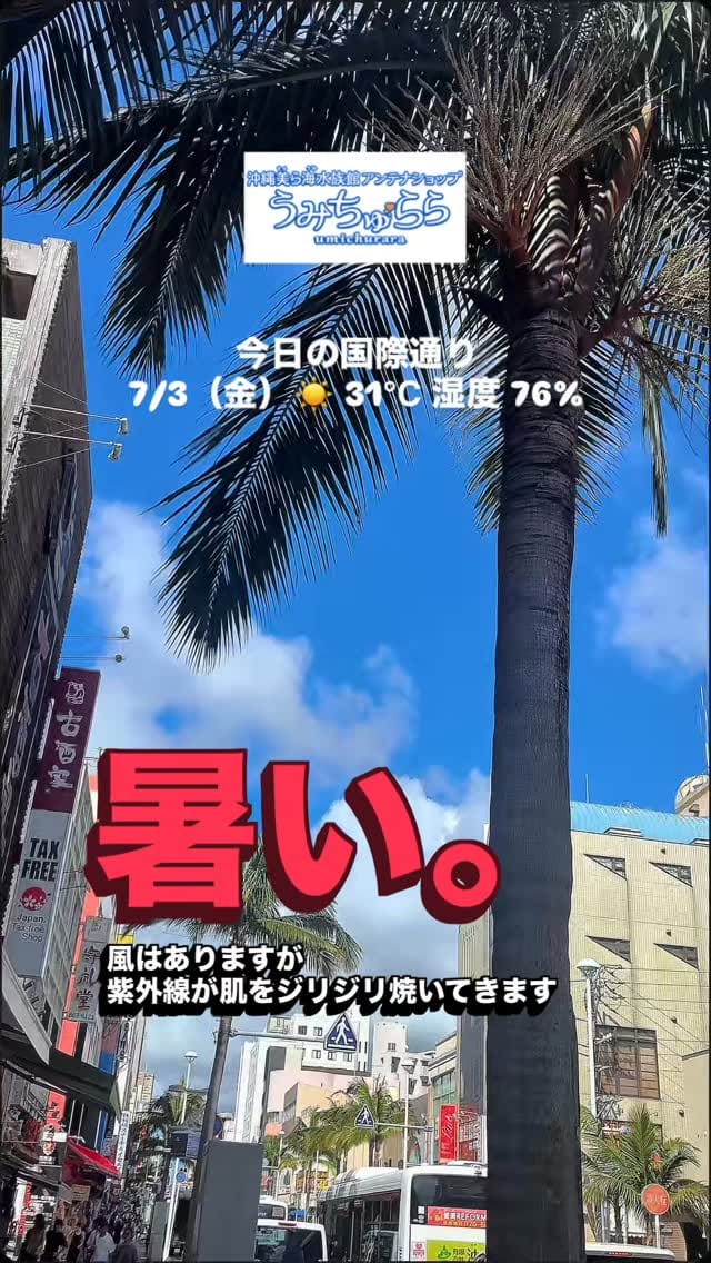 Post 3 by 【公式】沖縄美ら海水族館アンテナショップうみちゅらら on Instagram (video)