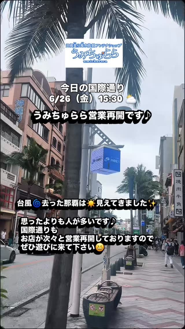 Post 10 by 【公式】沖縄美ら海水族館アンテナショップうみちゅらら on Instagram (video)