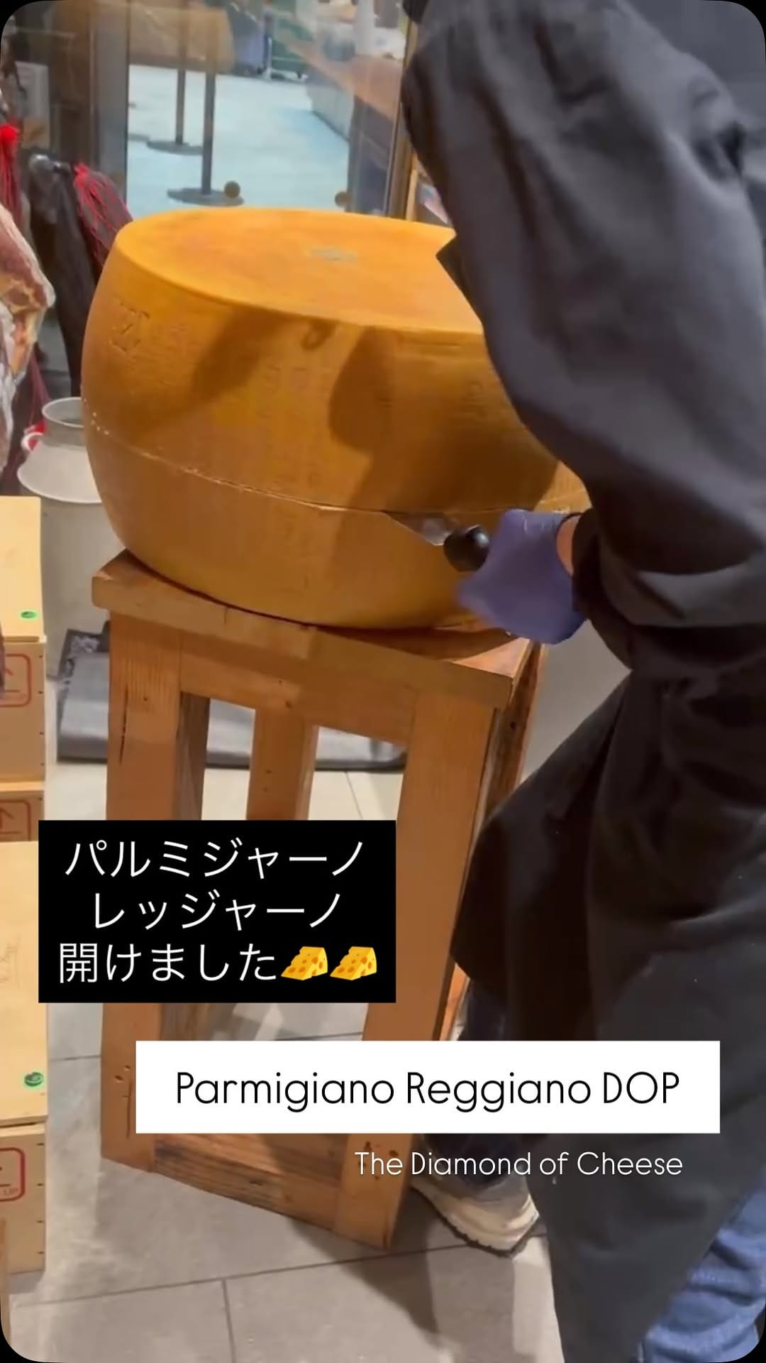 Post 7 by Fiordimaso Japan on Instagram (video)