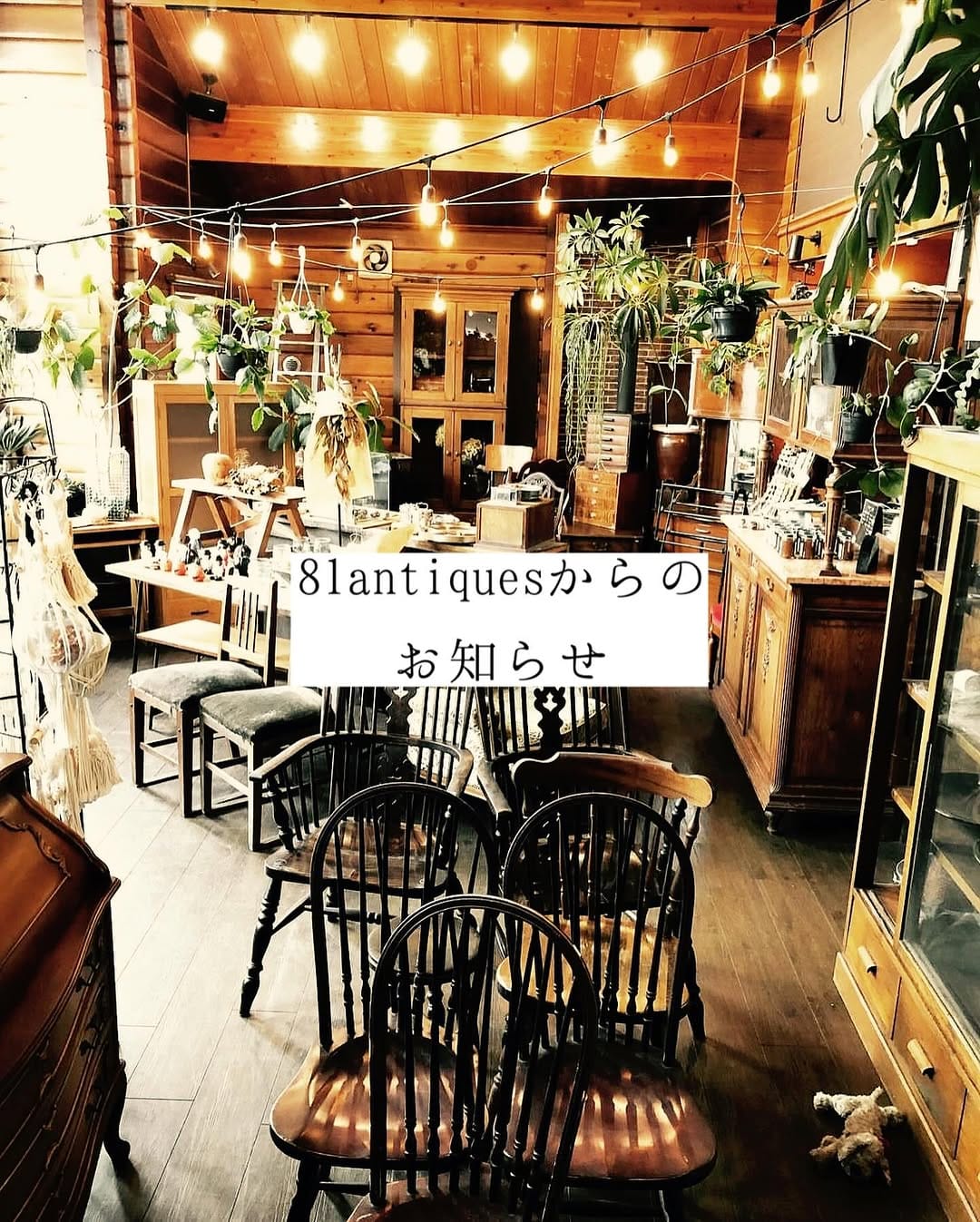 Post 5 by 81antiques on Instagram (carousel)