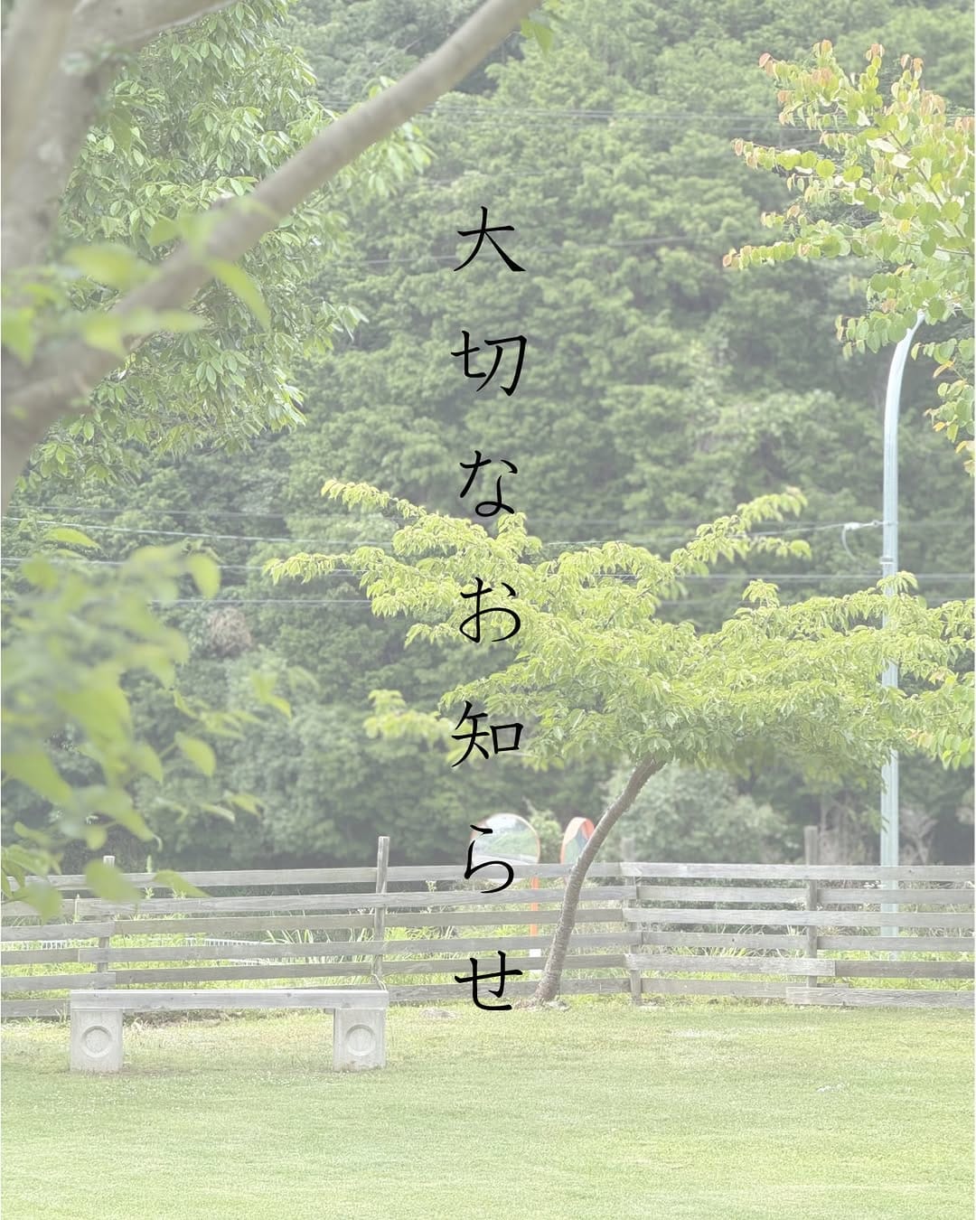 Post 10 by Home on Instagram (image)