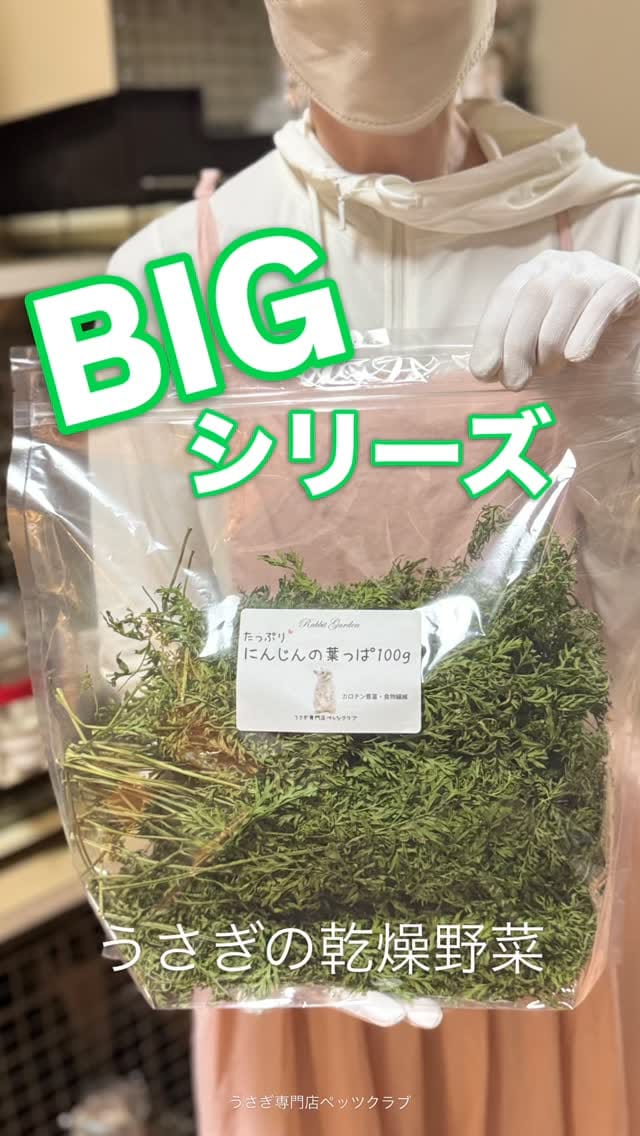 Post 6 by うさぎ専門店ペッツクラブ／うさぎの介護ケア on Instagram (video)